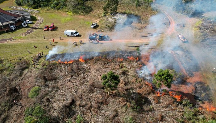  Para prevenir incêndios, Paraná suspende por 90 dias queima controlada no campo